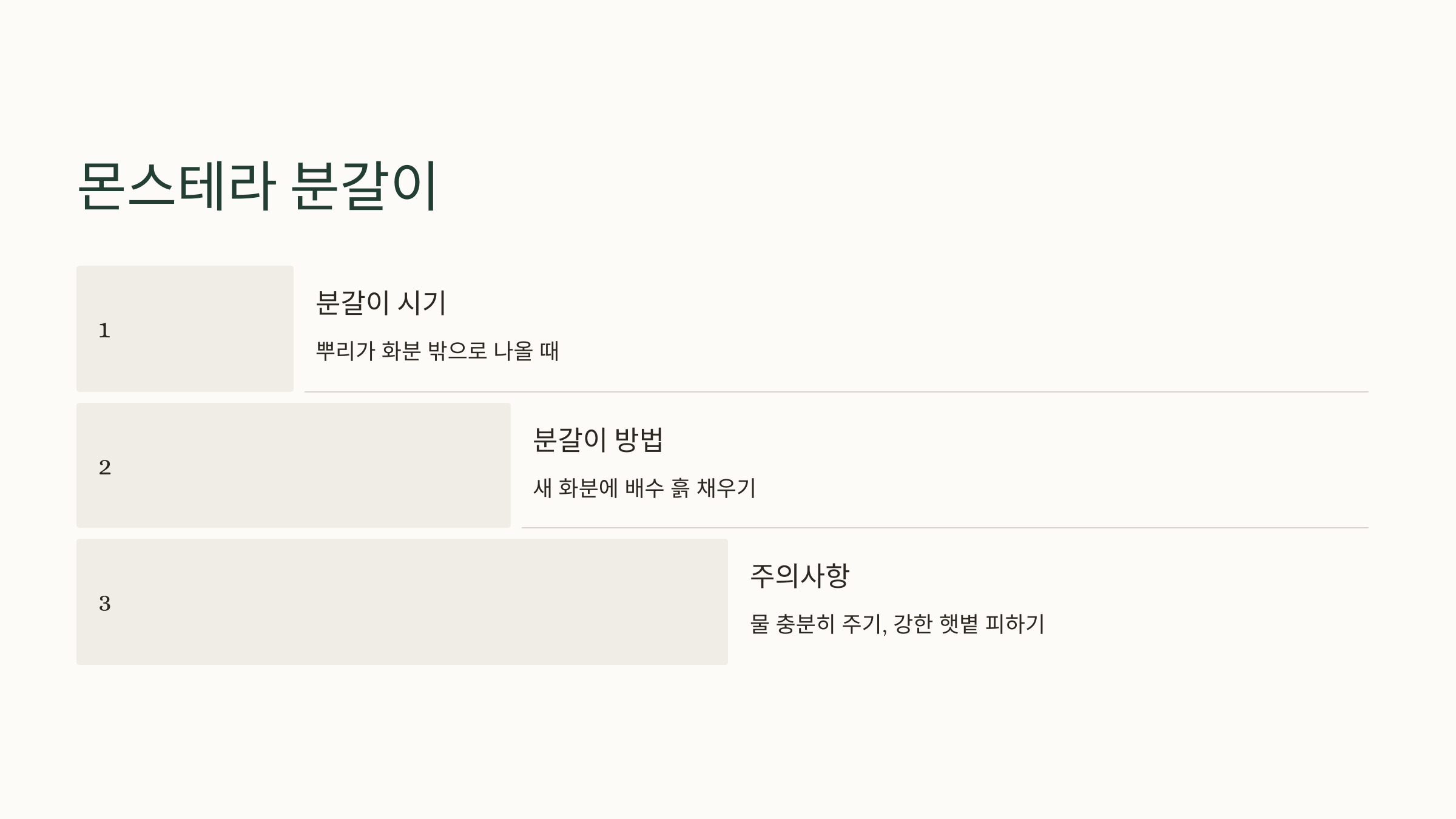 몬스테라와 관련된 사진입니다.