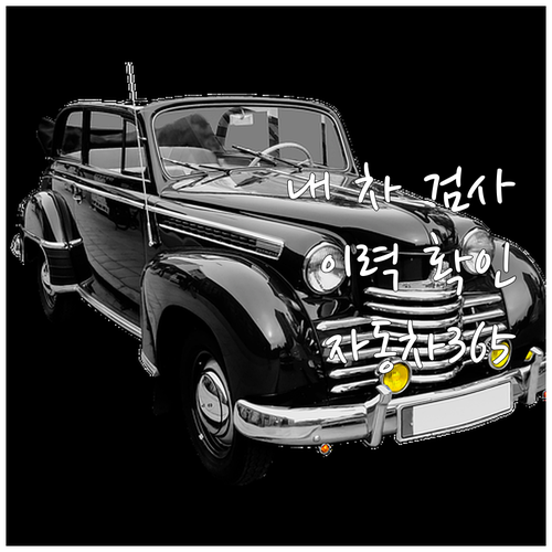 자동차 365로 내 차 검사 이력 한