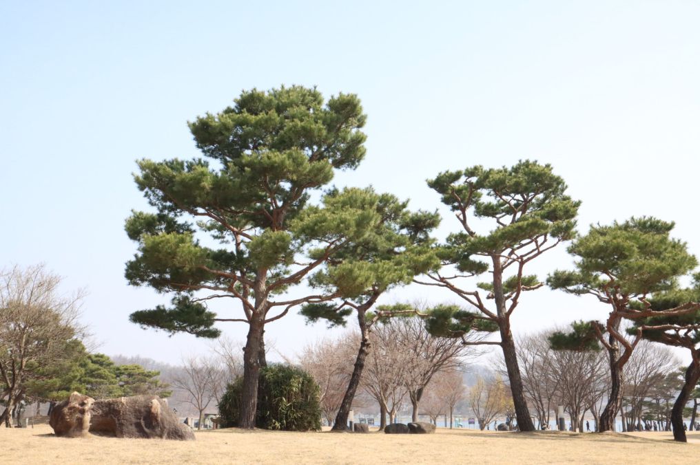 중앙탑사적공원