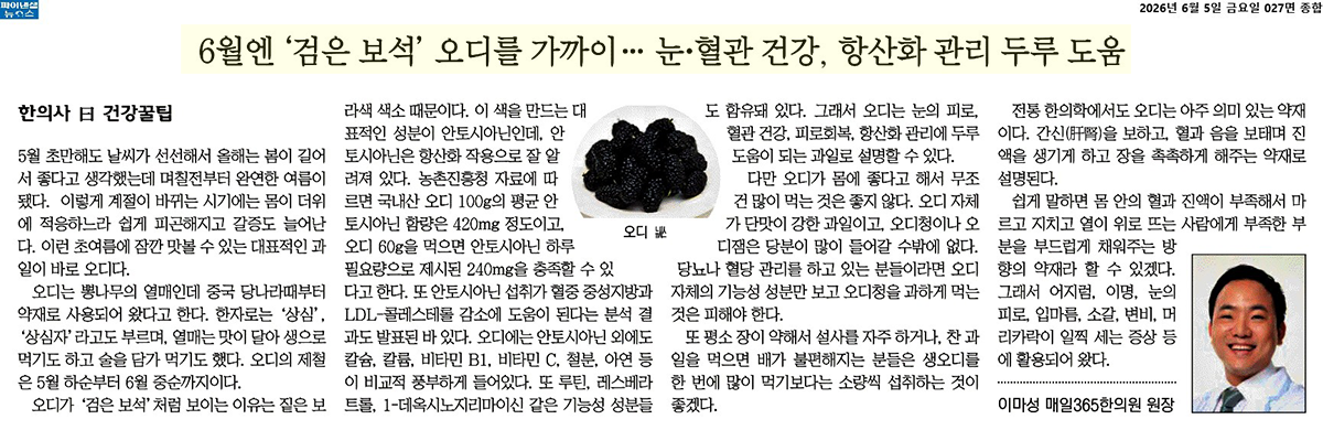 항산화는오디