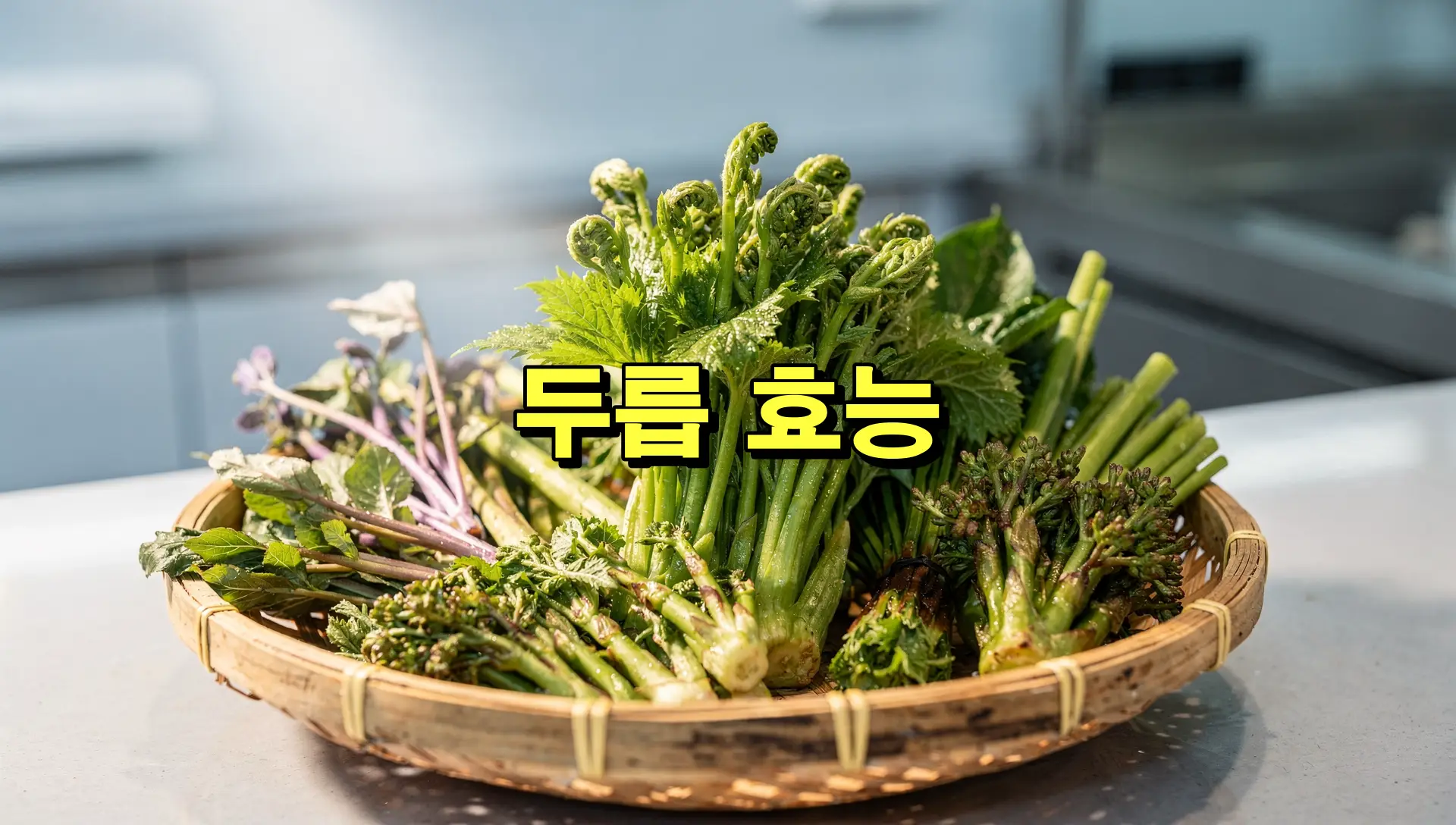 두릅 효능