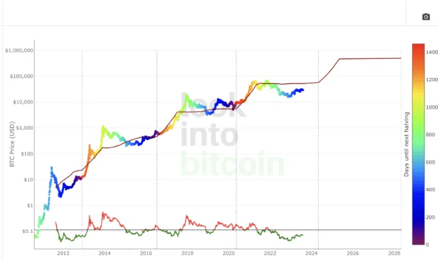 도지코인 지금이라도 사야하나요? 트럼프 와 머스크, 비트코인 과 도지코인