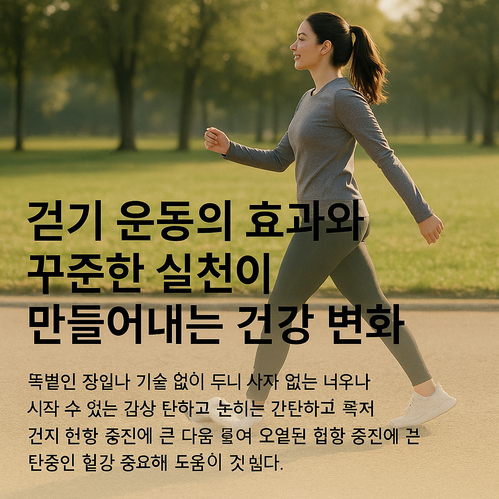 걷기 운동의 효과와 꾸준한 실천이 만들어내는 건강 변화