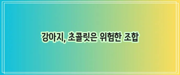강아지 초콜릿 중독 위험 예방이 중요합니다.