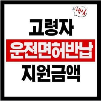 운전면허 반납 지원금