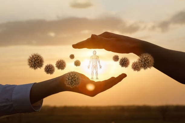 만성 수면 부족이 면역 시스템을 붕괴시키는 실제 과정