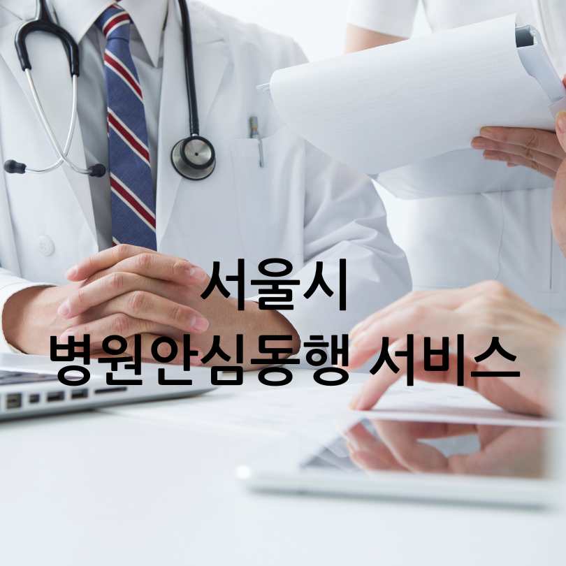 서울시 병원안심 동행 서비스