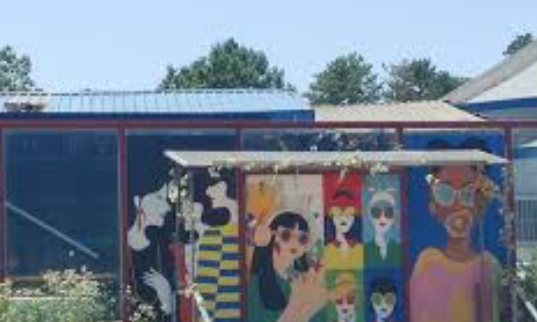 식사동 구제거리 완전 정복