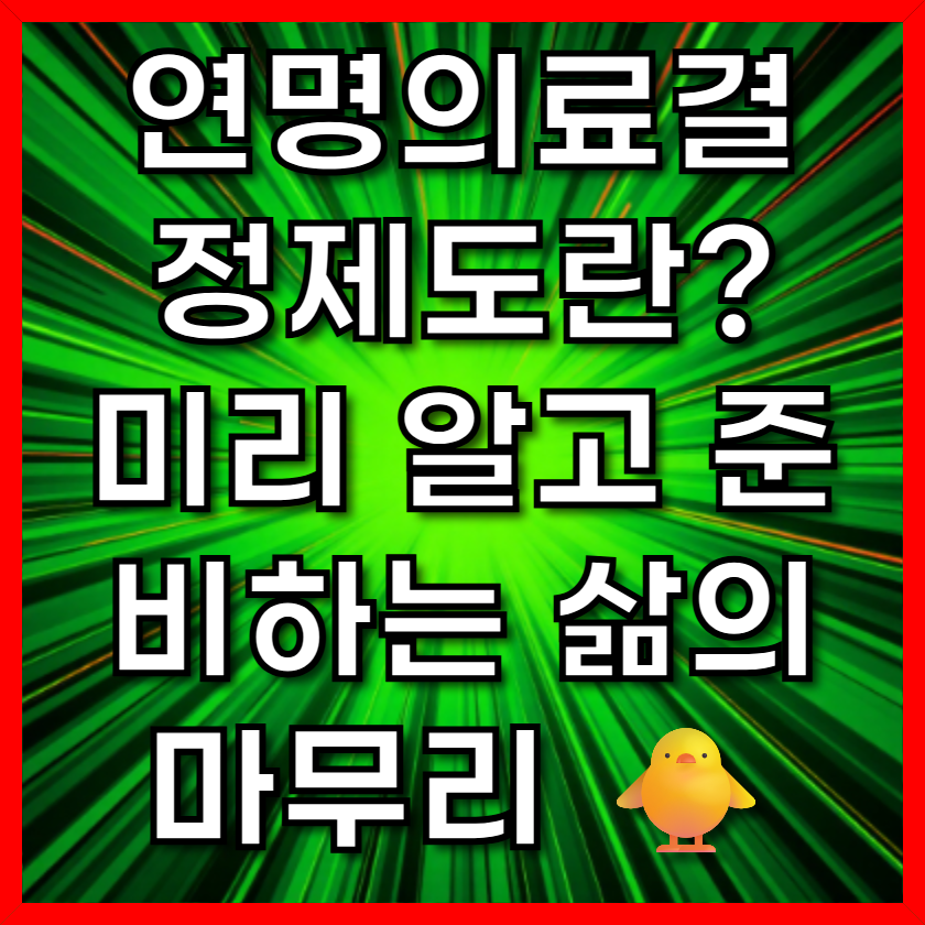 연명의료결정제도란? 미리 알고 준비하는 삶의 마무리 🐥