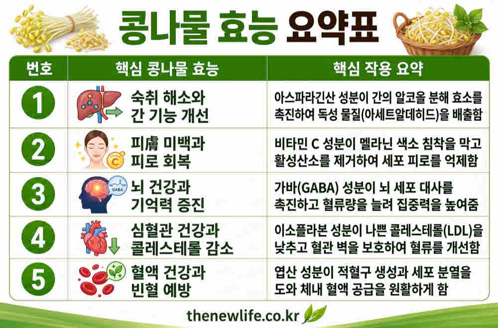 콩나물 효능 요약표