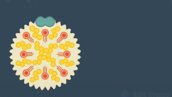 콜레스테롤 감소 효과