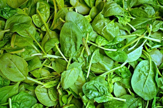 시금치