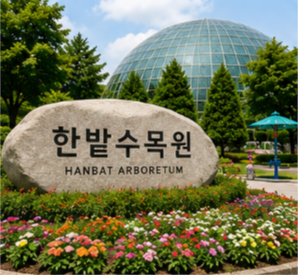 물놀이장을 더욱 즐기는 이용 팁