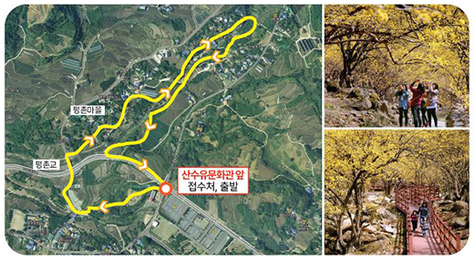 구례 산수유꽃길 걷기