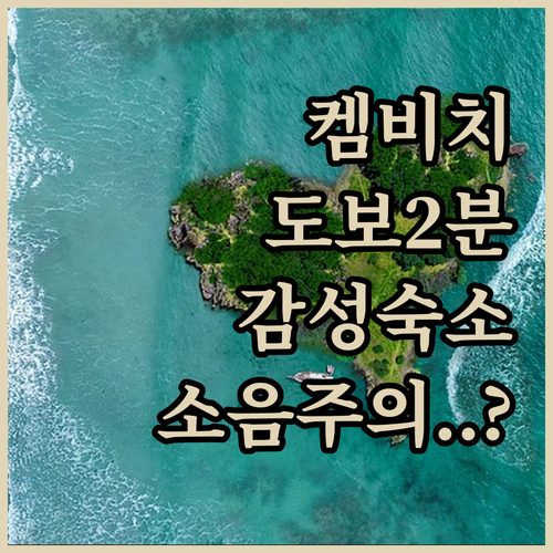 켐 비치 도보 2분 트로피컬 하우스 ..