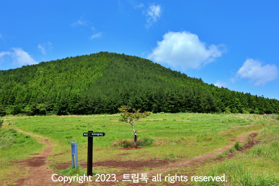 완만한 초록의 산이 있고 아래 연두빛 땅에 나루 한그루와 검정 표지판이 있다