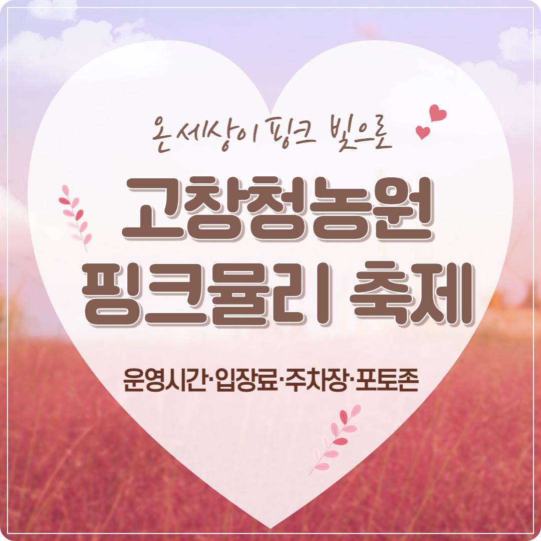 2025 고창청농원 핑크뮬리 축제 이미지