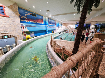 여름방학 수도권 워터파크 추천 BEST 5 (가족·연인과 가볼만한 곳)