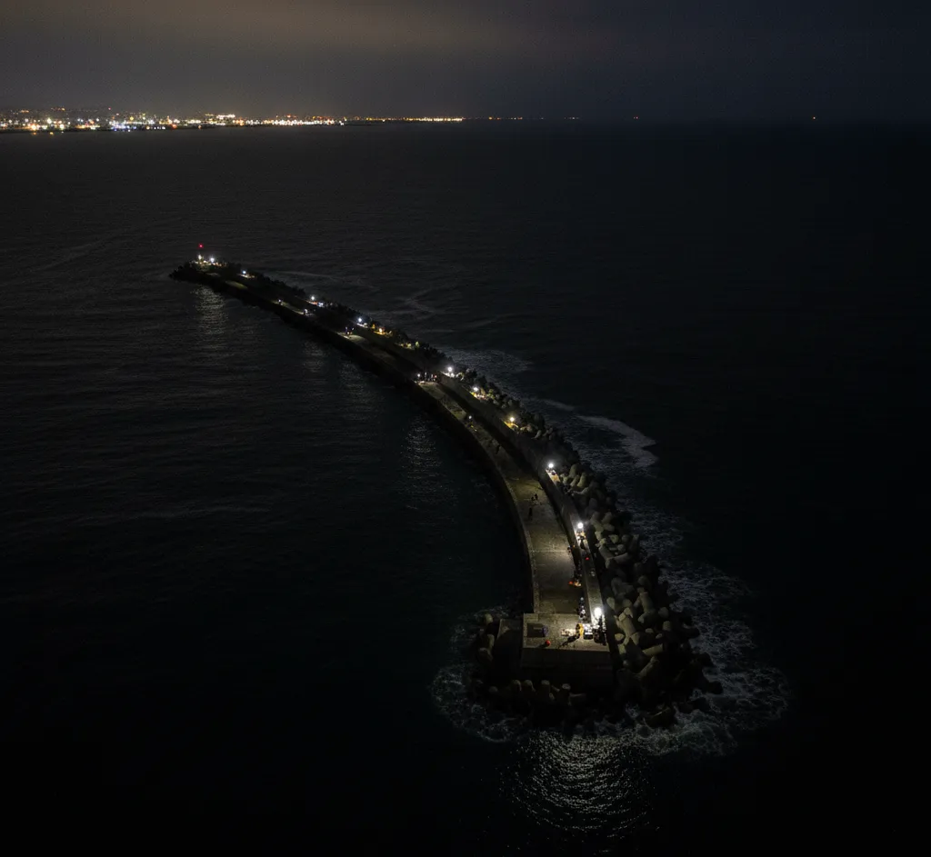 11월 도루묵 제철 정보 제공 이미지