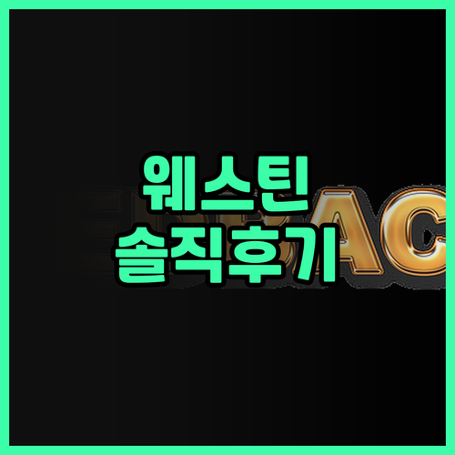 프랑크푸르트 호텔 후기 더 웨스틴 그..