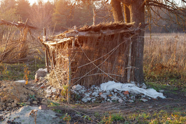 나뭇가지와 잎사귀로 만드는 생존용 데브리허트