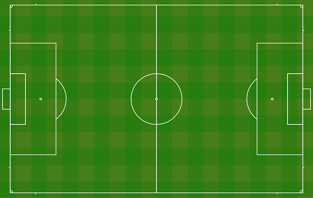 월드컵한국vs브라질분석