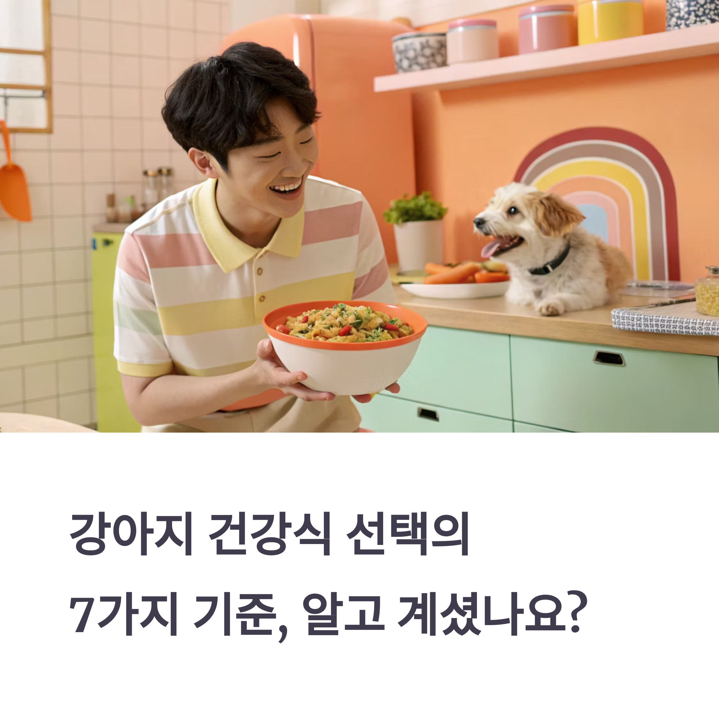 강아지 건강식, 꼭 확인해야 할 7가지 기준