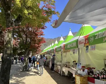 문경 사과축제_26