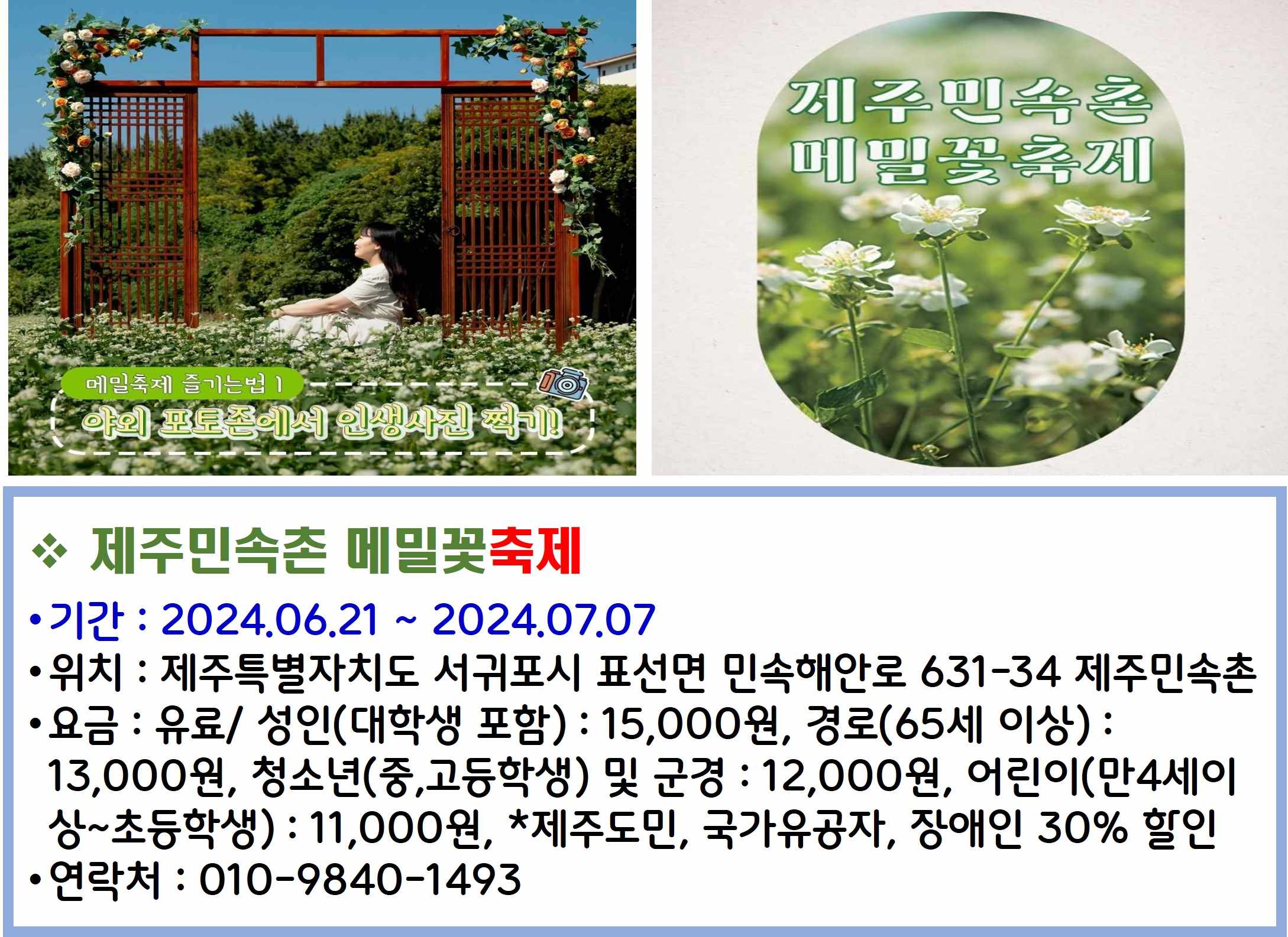 제주민속촌 메밀꽃 축제