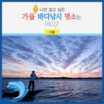 낚시 가을 시즌 추천 쭈꾸미 갑오징어 선상 채비 준비_29