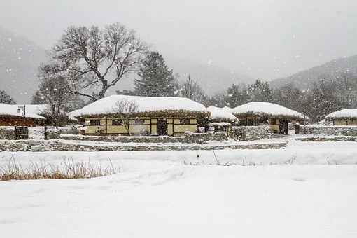 눈이쌓인-시골풍경