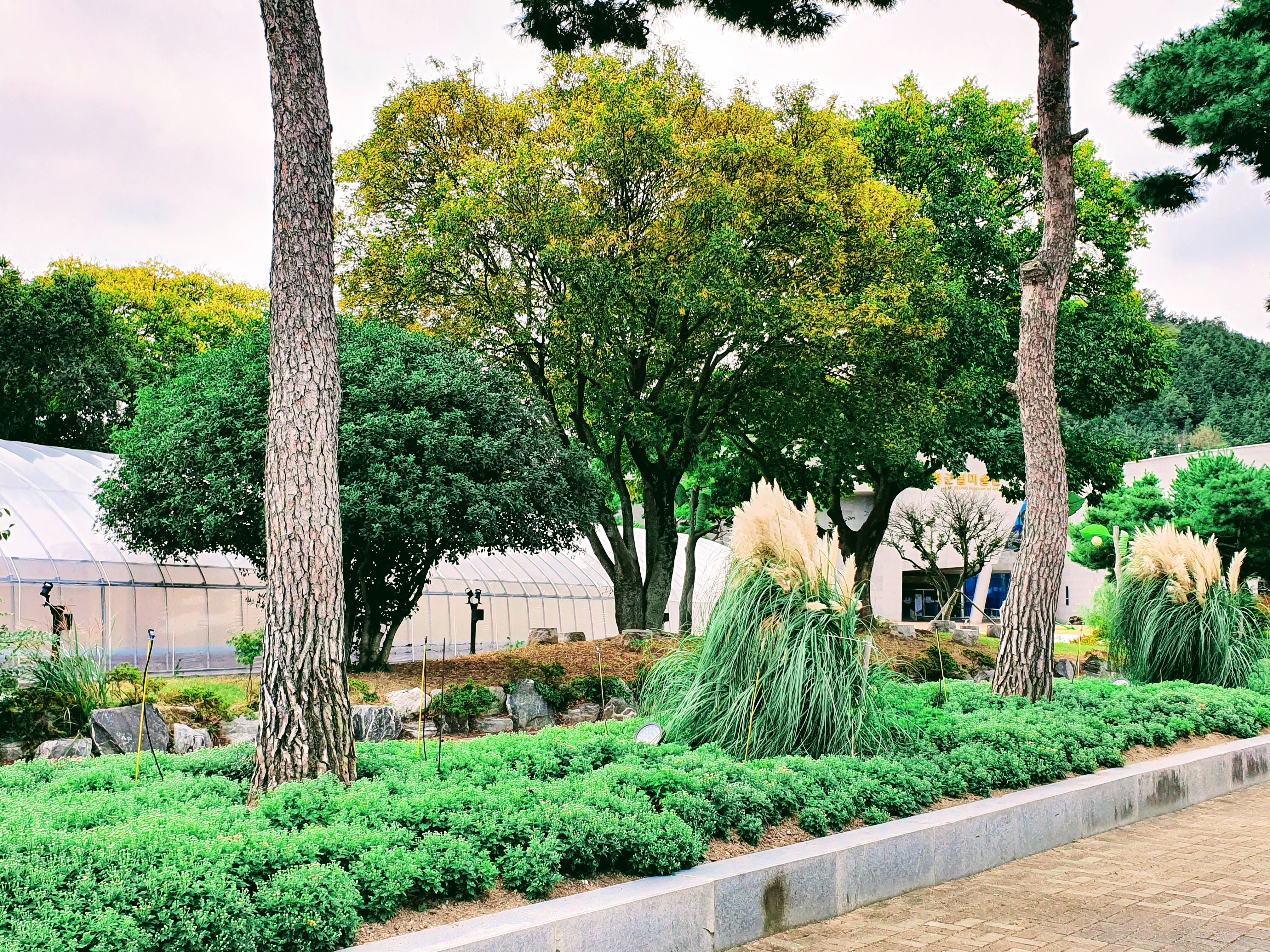 함평국화축제일정
