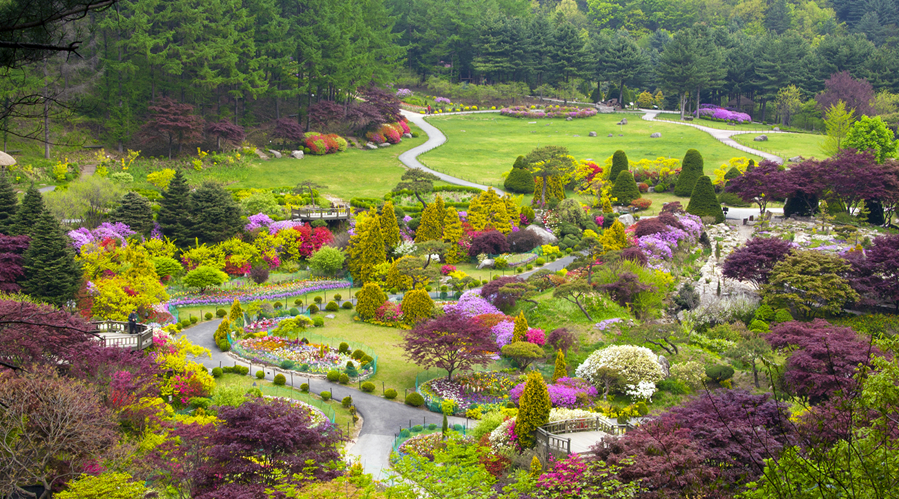 아침고요수목원 모습