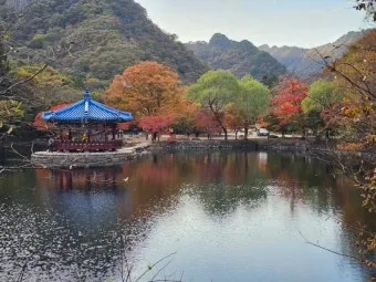 내장산 단풍 명소 단풍시기 산책로 사진스팟 한눈에_6