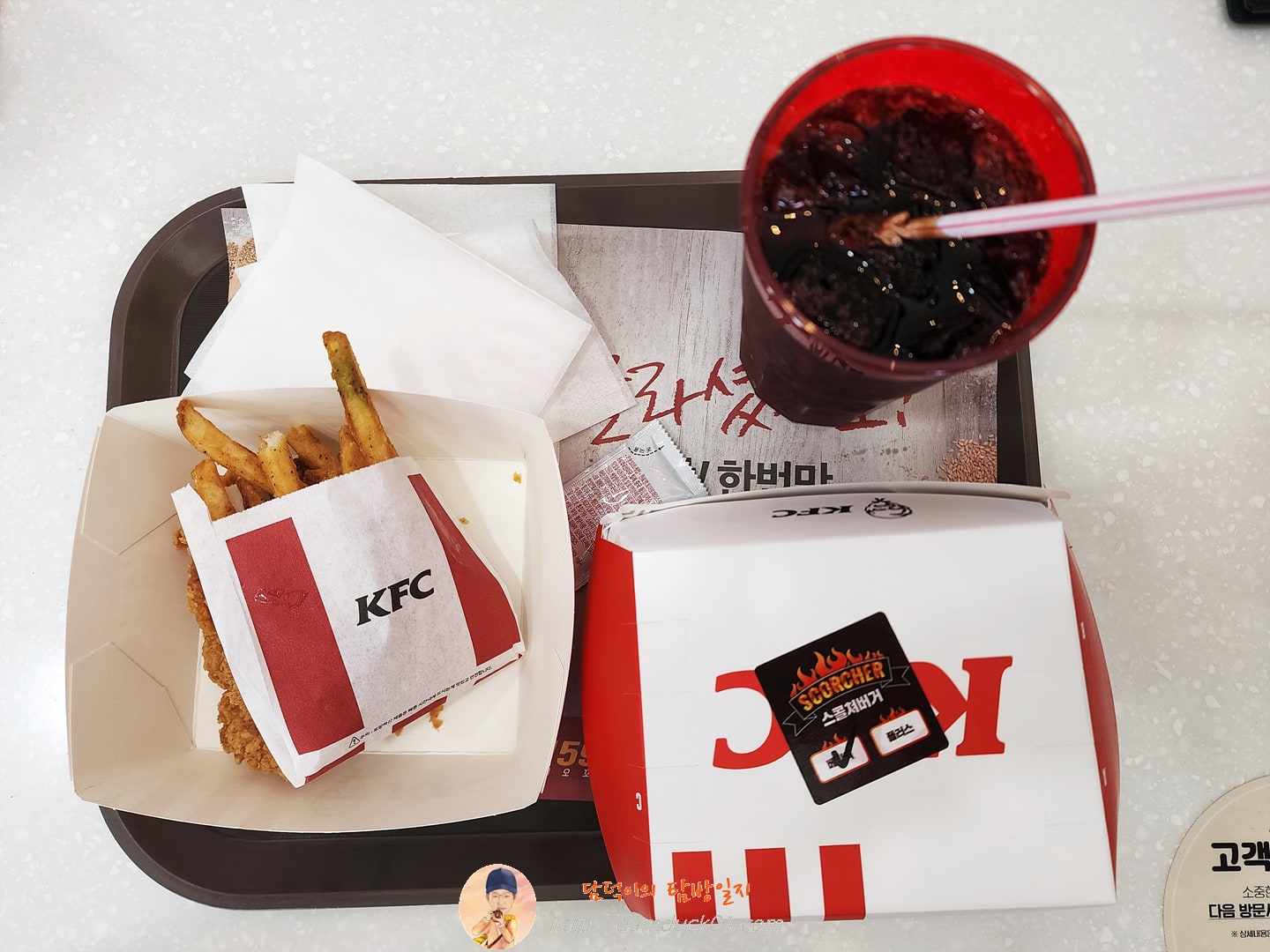 스콜쳐베이직박스