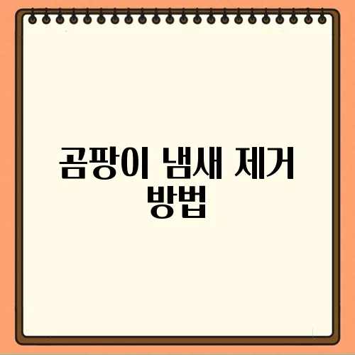 곰팡이 냄새 제거 방법