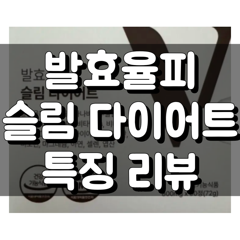 발효율피 슬림다이어트 주요 특징과 효능 완벽 분석