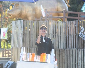 진안홍삼축제_30