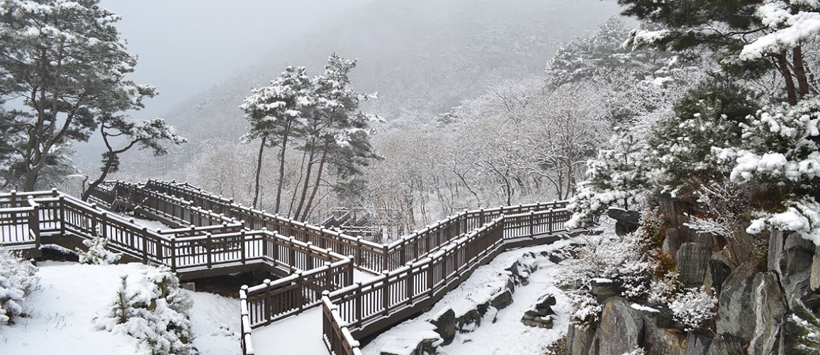 자자파크 사진1