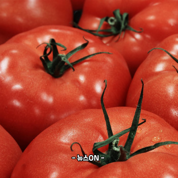 칼륨이 많은 음식