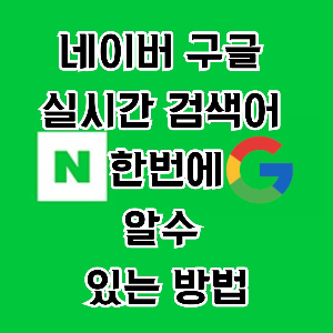 실시간 네이버 구글 검색어 확인방법