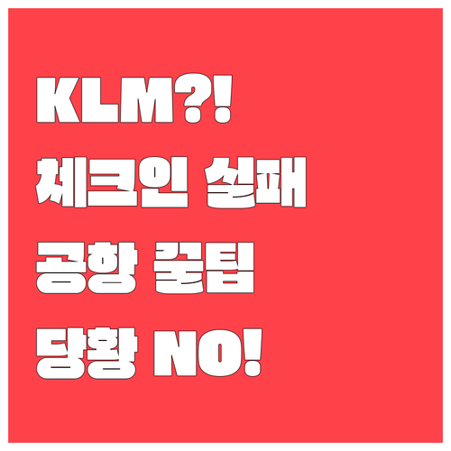 KLM 온라인 체크인 실패 시 공항 ..