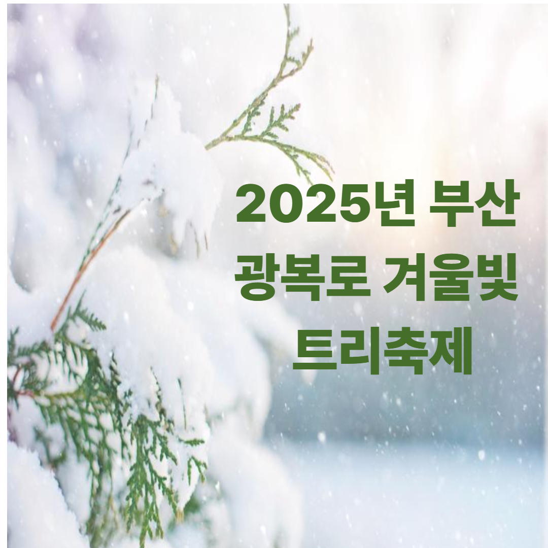 2025년 부산 광복로 겨울빛 트리축제