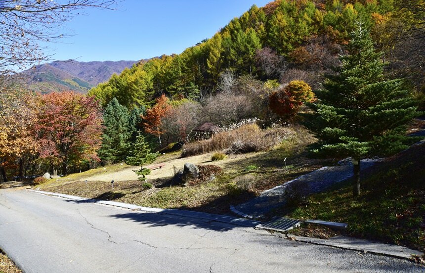 강원 횡성 &ndash; 치악산자연휴양림 &amp; 숲속수목원