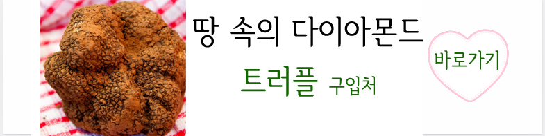 트러플구입처