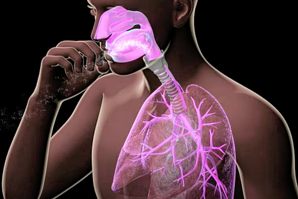 RSV 바이러스가 무서운 이유?_출처:Cleveland Clinic