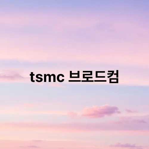 tsmc 브로드컴