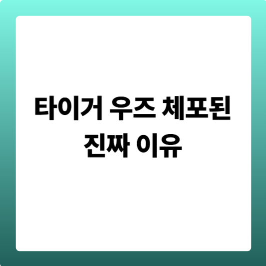 타이거 우즈 체포된 진짜 이유