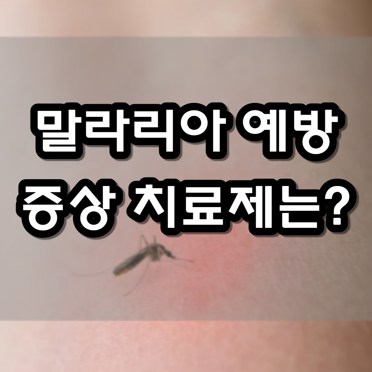 말라리아 예방 증상 치료제는?