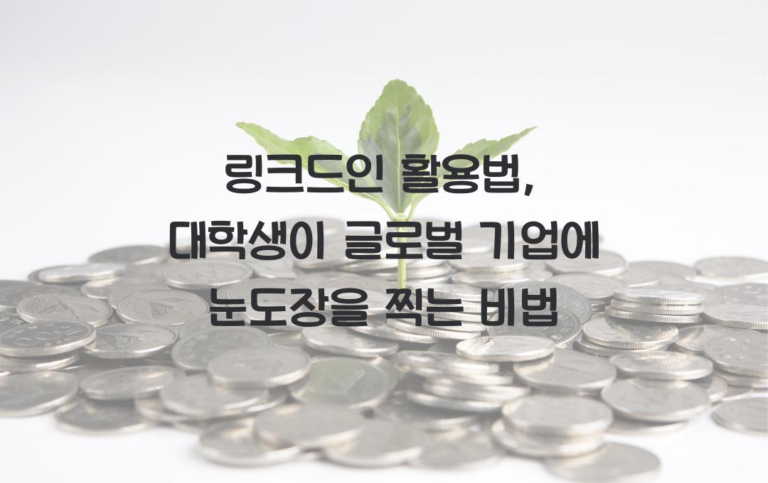 링크드인 활용법: 대학생이 글로벌 기업에서 채용 제안을 받는 방법